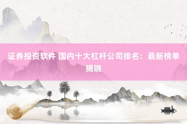 证券投资软件 国内十大杠杆公司排名：最新榜单揭晓