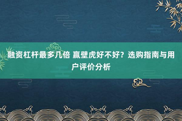 融资杠杆最多几倍 赢壁虎好不好？选购指南与用户评价分析