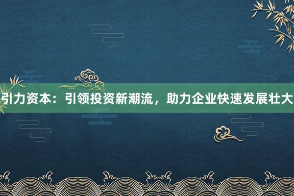 引力资本：引领投资新潮流，助力企业快速发展壮大