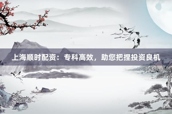 上海顺时配资：专科高效，助您把捏投资良机