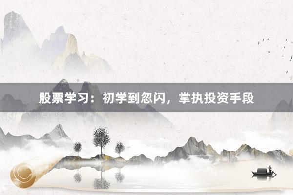 股票学习：初学到忽闪，掌执投资手段