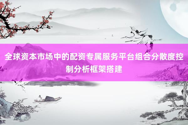 全球资本市场中的配资专属服务平台组合分散度控制分析框架搭建