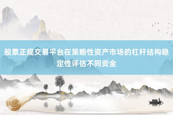 股票正规交易平台在策略性资产市场的杠杆结构稳定性评估不同资金