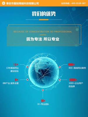 泰安网站优化收费标准-星际网络(在线咨询)-泰安网站优化